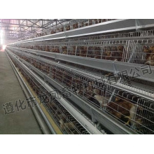 Hot Sale Galvanized Chicken Cage in Africa